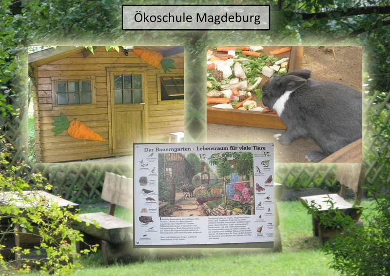 Ökoschule Magdeburg